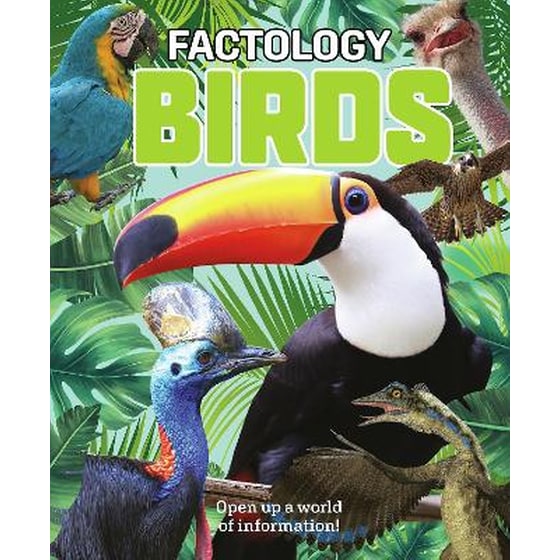 Factology: Birds image 0