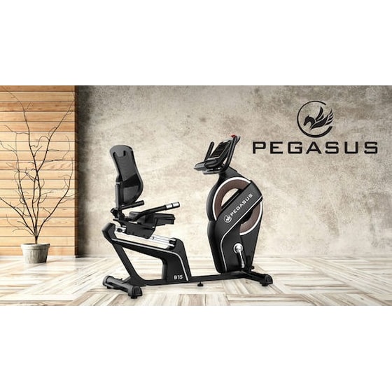 PEGASUS B15  Ποδήλατο Γυμναστικής Καθιστό Μαύρο image 3