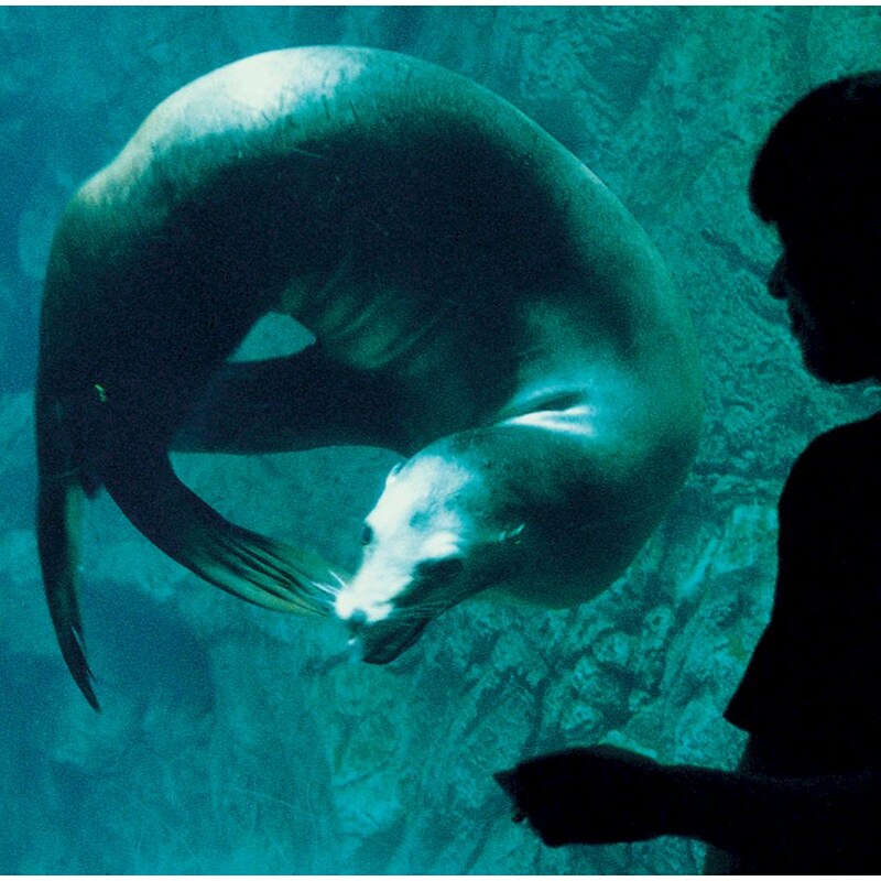 Eienn No Uta / Adrenaline Drive (LP)