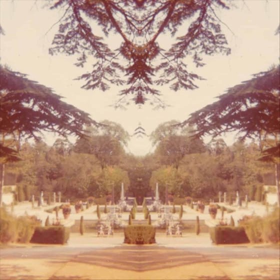 Nightshade (LP) image 1