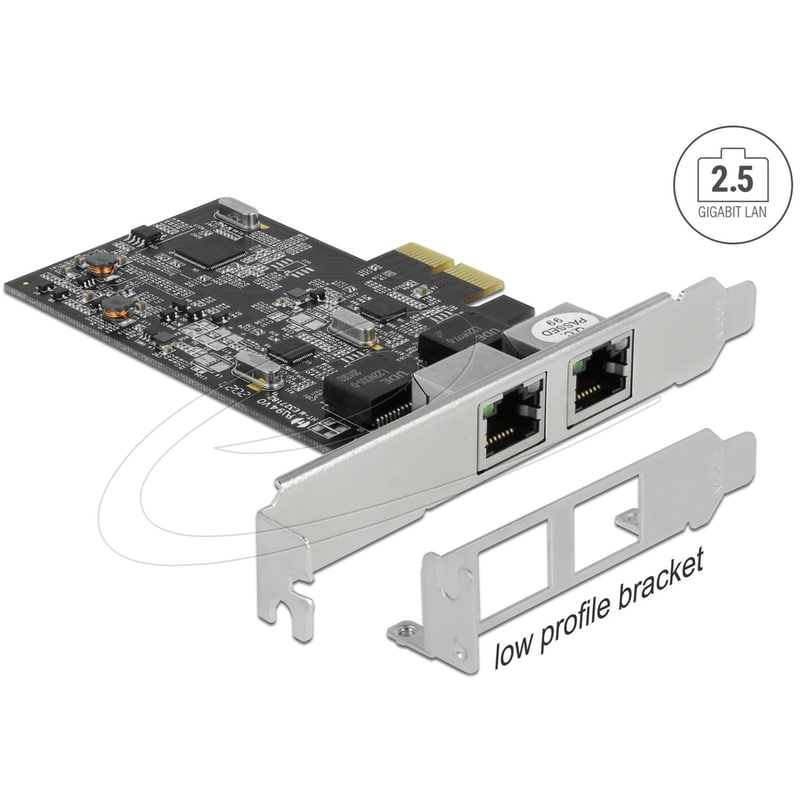 Delock Κάρτα Επέκτασης Pci X2 Σε 2x Rj45 Gigabit Lan 89530, 2.5 Gbps