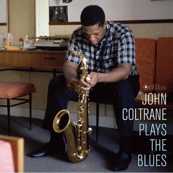 Plays The Blues image 2