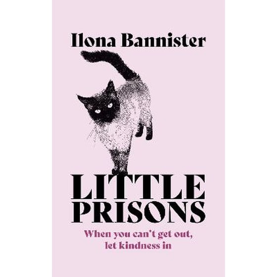 Little Prisons image 0