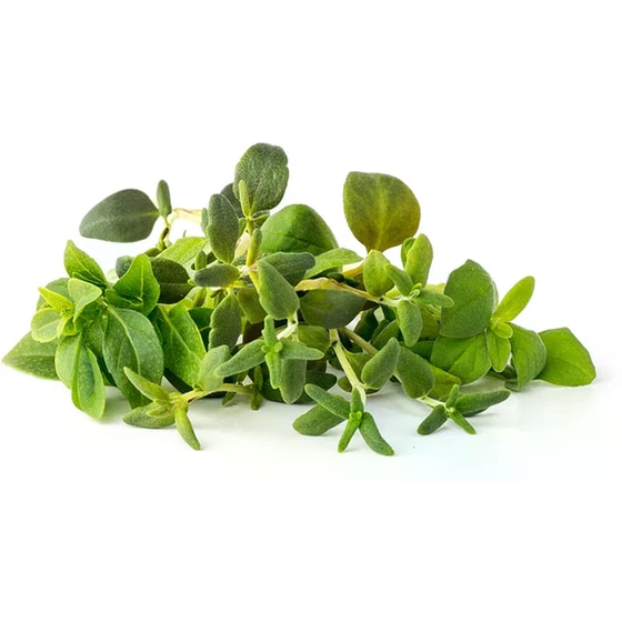 Κάψουλες Click and Grow 9 Τμχ - Mix Ιταλικών Βοτάνων image 1
