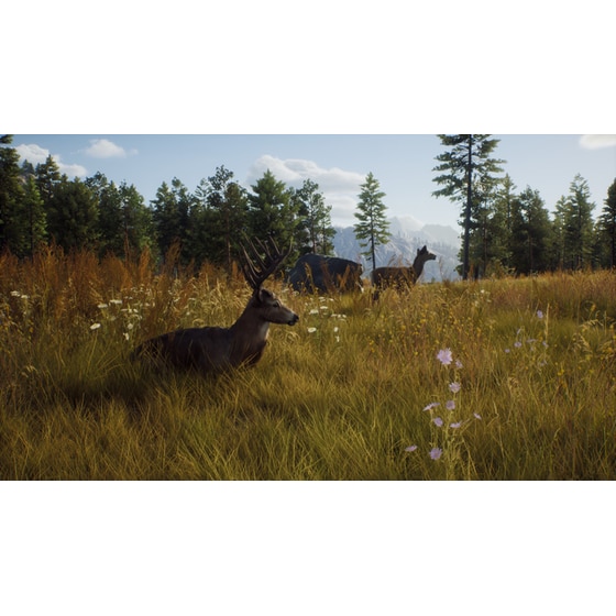 Way of the Hunter - PC image 2