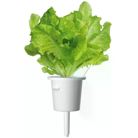 Κάψουλες Click and Grow 3 Τμχ - Μαρούλι image 1