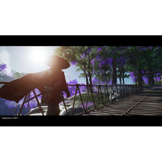 Ghost of Tsushima Director's Cut - PS5 image 14