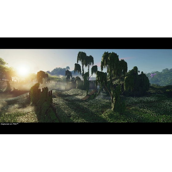 Ghost of Tsushima Director's Cut - PS5 image 11