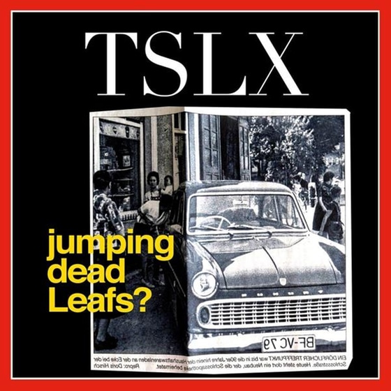 Jumping Dead Leafs? image 0