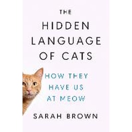 Hidden Language of Cats