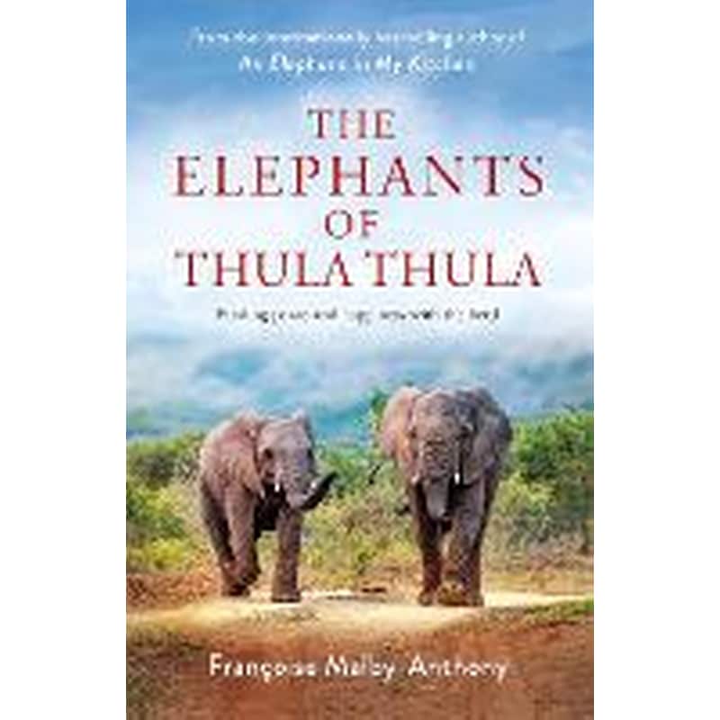 Elephants of Thula Thula