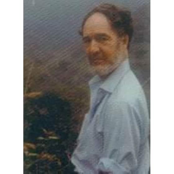 Κατάρρευση image 1