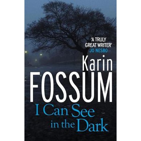 I Can See in the Dark image 0