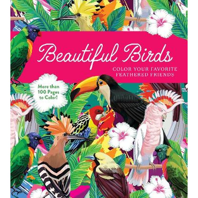 Beautiful Birds