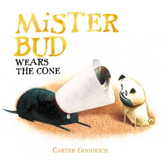 Mister Bud Wears the Cone image 0