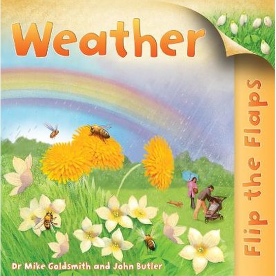 Flip the Flaps: Weather image 0