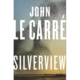 Silverview