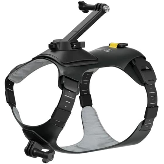 Βάση Στήριξης για Action Camera Insta360 GO3/3S Pet Harness M - Μαύρο image 0