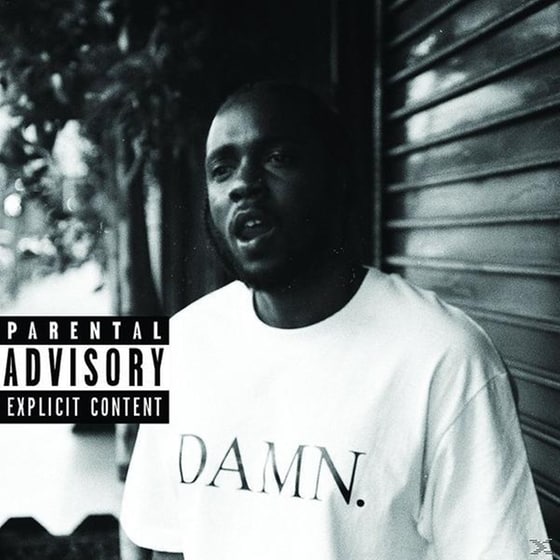 Damn.Collectors Edt.(Ltd.2lp) image 0