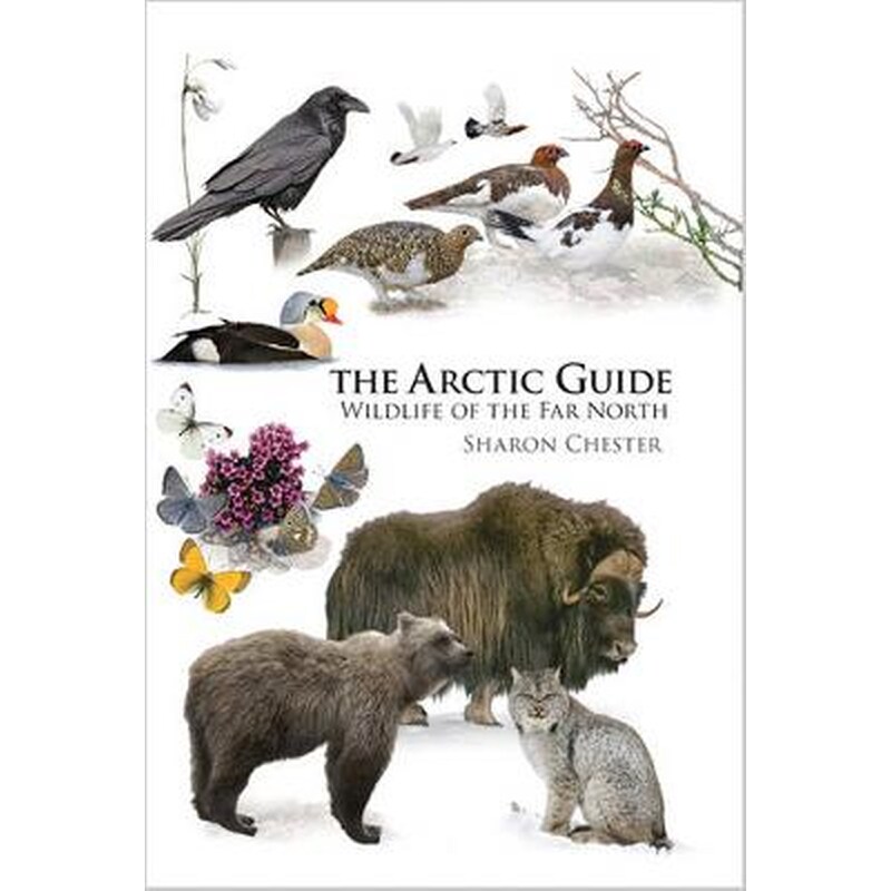 Arctic Guide