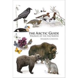 Arctic Guide