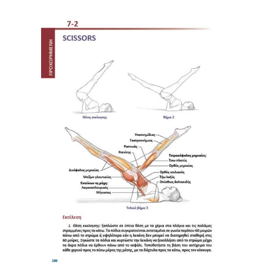 Pilates anatomy image 2