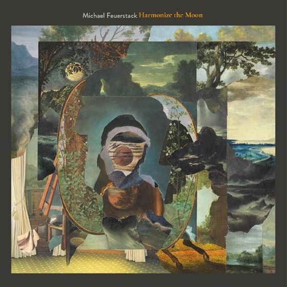 Harmonize The Moon (LP) image 0