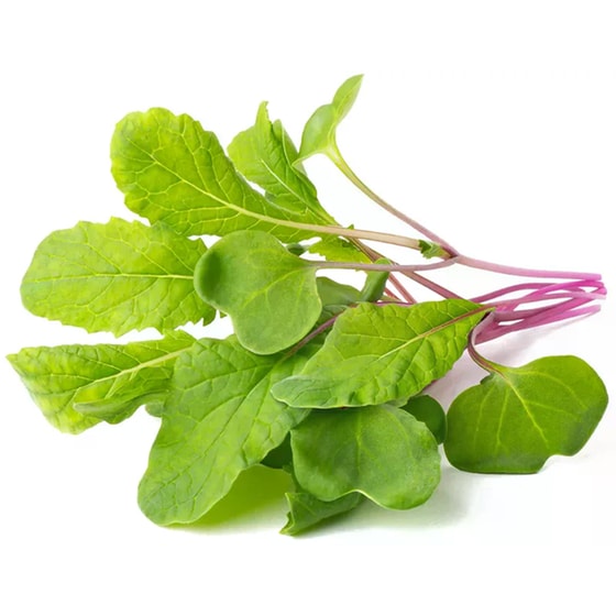 Κάψουλες Click and Grow 3 Τμχ - Ραπανάκι image 1