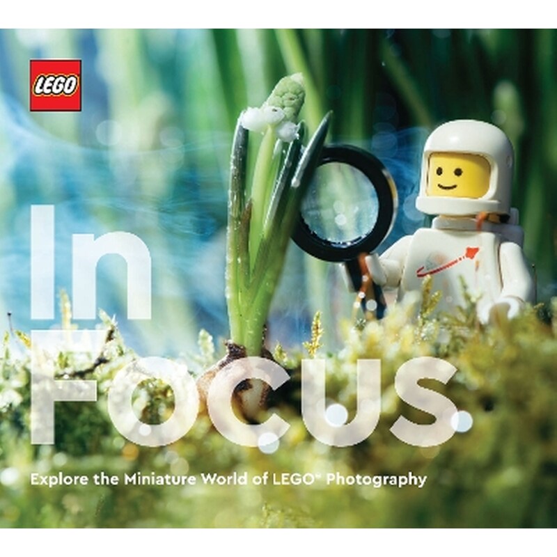 LEGO In Focus