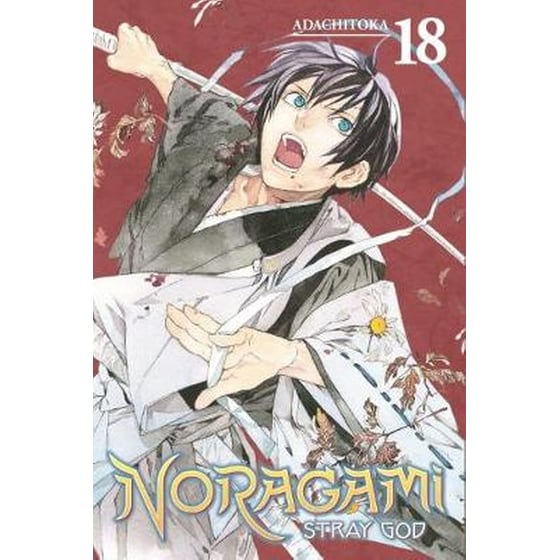 Noragami- Stray God 18, Vol. 18 image 0