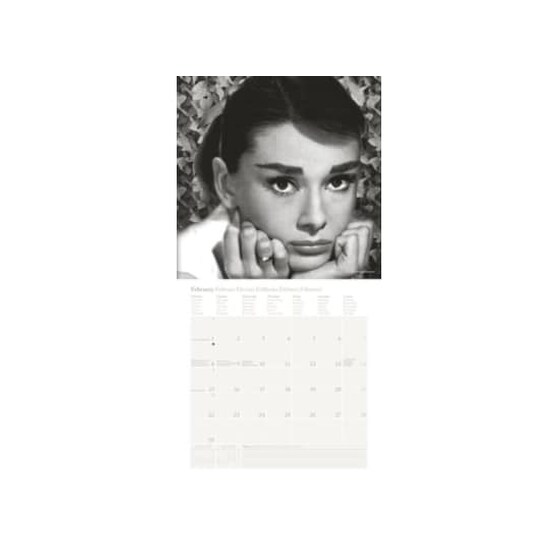 ΗΜΕ.ΤΟΙΧΟΥ 30Χ30 AUDREY HEPBURN 2016 image 2