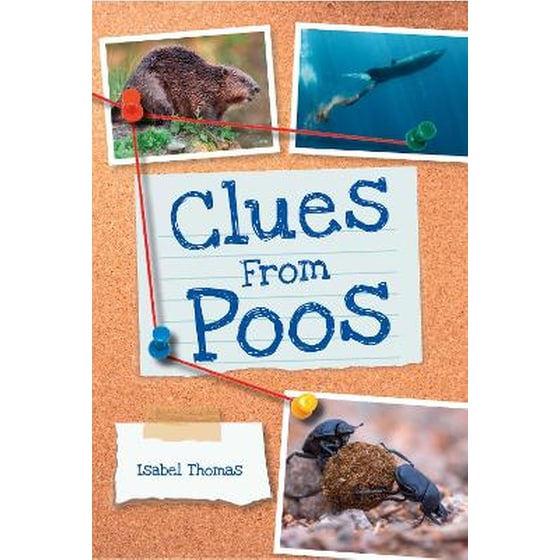 Clues from Poos image 0