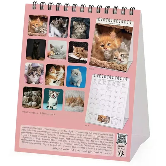 Ημερολόγιο Γραφείου Legami 2026 Kittens image 3