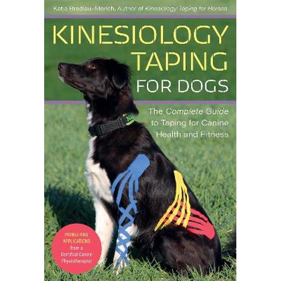 Kinesiology Taping for Dogs image 0