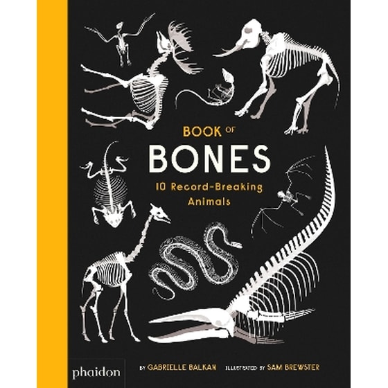 Book of Bones image 0