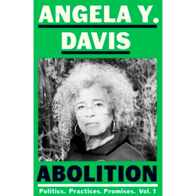 Abolition: Politics, Practices, Promises, Vol. 1