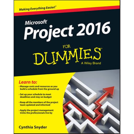 Project 2016 For Dummies image 0