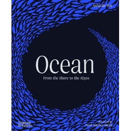 Ocean