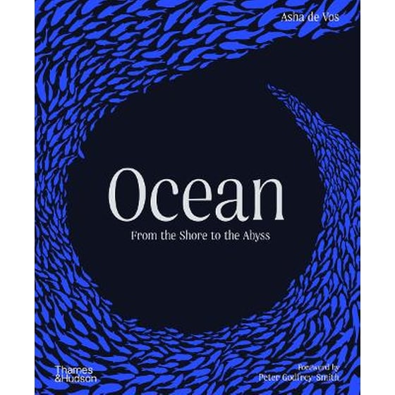 Ocean image 0
