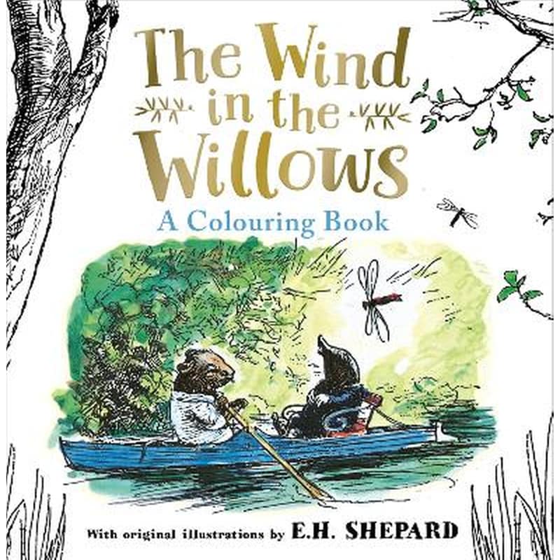 Wind in the Willows Colouring Book