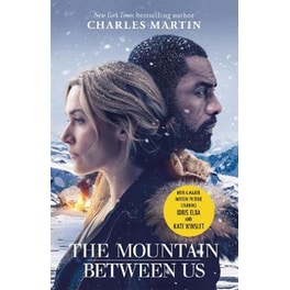 Mountain Between Us