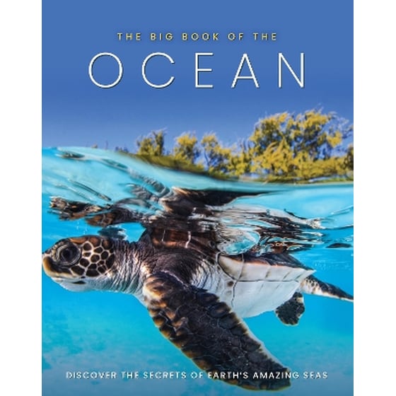 The Big Book of the Ocean image 0