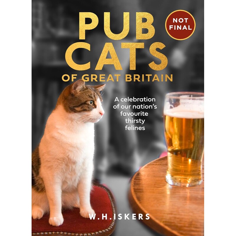 Pub Cats of Great Britain