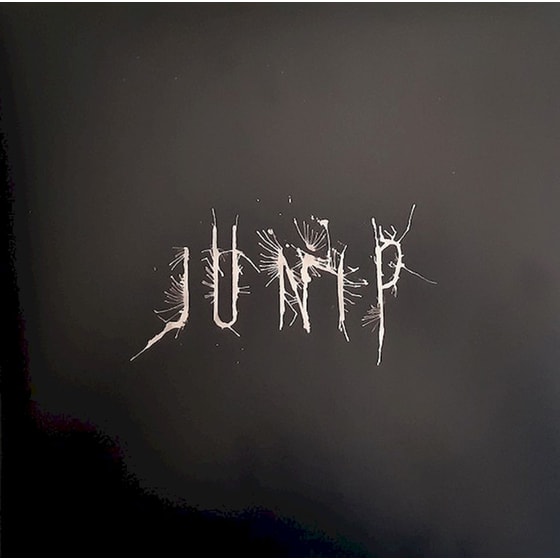 JUNIP (LP) image 0