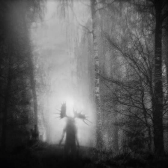 From The Infinite Light image 0