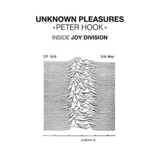 Unknown Pleasures image 0