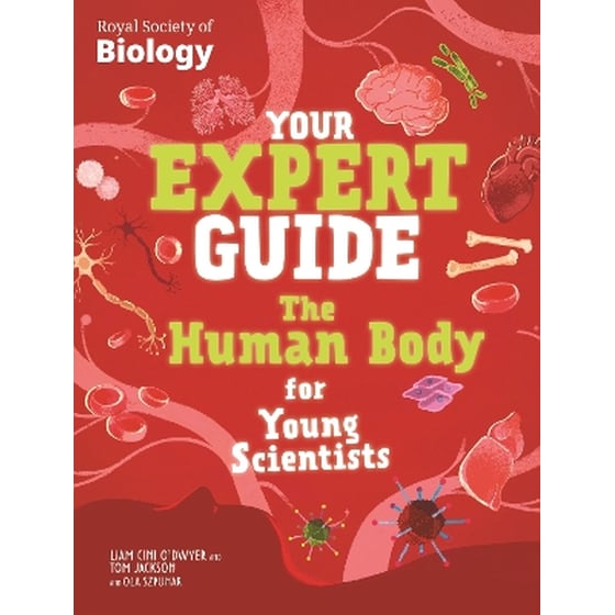 Your Expert Guide: The Human Body for Young Scientists image 0