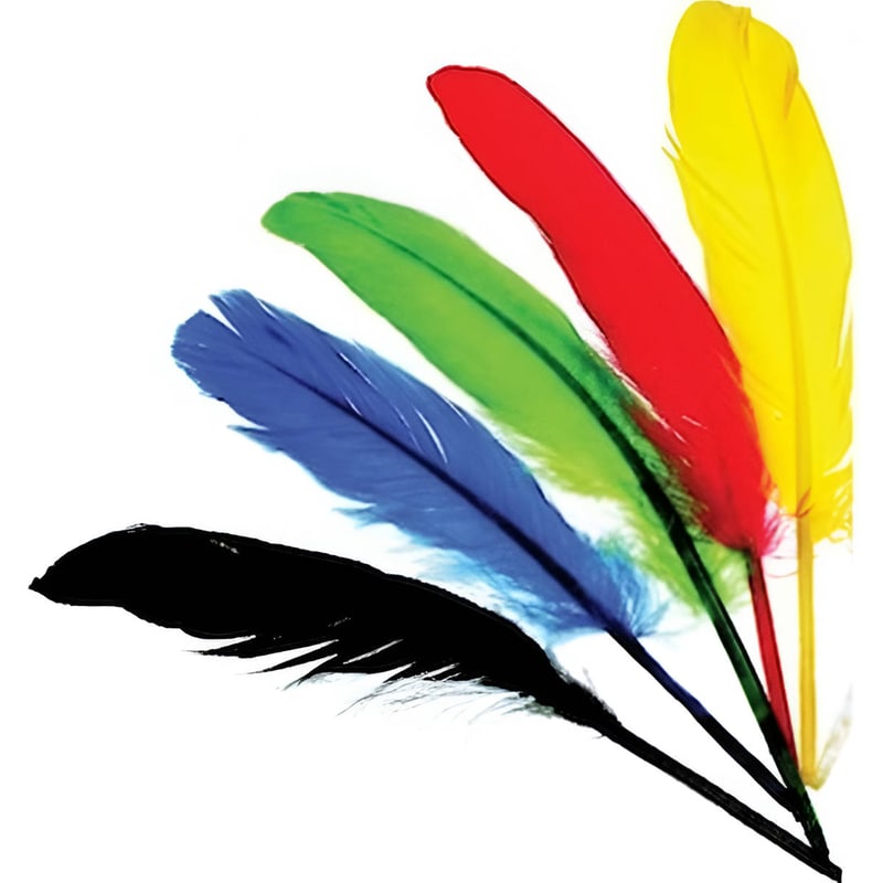 ANHUI TIANHUI INDUSTRIAL & TRADING CO., LTD Φτερά Anhui Tianhu 12-15 cm (20 Τεμάχια)