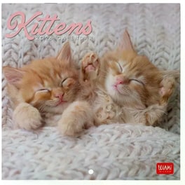 Ημερολόγιο Τοίχου Legami 2026 Kittens 18x18cm