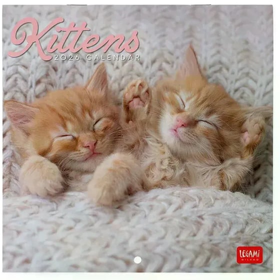 Ημερολόγιο Τοίχου Legami 2026 Kittens 18x18cm image 0